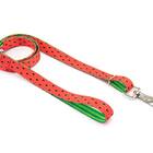 Peitoral E Guia Smooty Pet Melancia P Kit