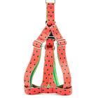 Peitoral E Guia Smooty Pet Melancia P Kit