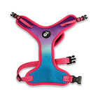 Peitoral Flow Mesh Roxo E Verde Tam. Xp Mimo - Pp313