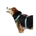 Peitoral H Verde E Rosa - Mimo P