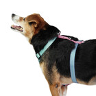 Peitoral H Verde E Rosa Tam. Pp Mimo - Pp275