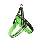 Peitoral Led 3 Funções Verde - Mimo G