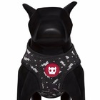 Peitoral Mesh Plus Zee Dog - Estampa Flash - Tamanho Pp