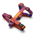 Peitoral para Cachorro G Poliéster Cachorreiros