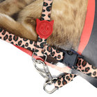 Peitoral Para Gatos Ajustável Luxo Grande 90cm Ld Pet  Onça