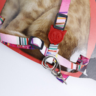 Peitoral Para Gatos Ajustável Luxo Grande 90cm Ld Pet  Rosa