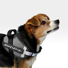 Peitoral Reflexivo Ch Cinza Tam. P Mimo - Pp302