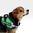 Peitoral Reflexivo Ch Verde Tam. M Mimo - Pp306