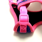 Peitoral Treking Messina Pequeno Azul/rosa Coltelli