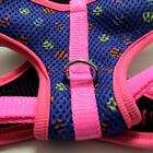 Peitoral Treking Messina Pequeno Azul/rosa Coltelli