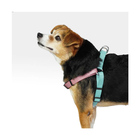 Peitoral Triple Step Verde E Rosa - Mimo M