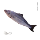 Peixe Elétrico Salmão P/ Gato C/ Catnip 25cm