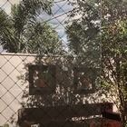 Pelicula Adesiva Vidro Residencial Pontos E Quadrados Preto