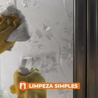 Pelicula Adesivo Eletrostatica 3d Vidro Flores Crisantemo