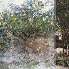 Pelicula Adesivo Eletrostatica 3d Vidro Holograma Mosaico