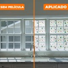 Película Adesivo Eletrostatica Vidro Infantil Animais