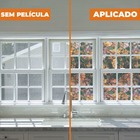 Pelicula Adesivo Eletrostatica Vidro Jateado Flor Magnolia