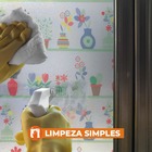 Pelicula Adesivo Eletrostatica Vidro Jateado Vaso De Flores