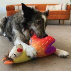 Pelúcia Kong Ballistic Lhama Balistic Vibes - G - Roxo