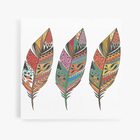 Penas Coloridas Abstrato Minimalista Quadro Canvas 100x100cm