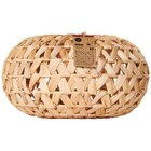 Pendente Redondo 1 Lâmpada Vegetal Dourado Baheza Inspire