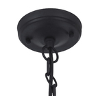 Pendente 1 Lâmpada Metal e Vidro Preto Dublin Biancoluce