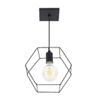 Pendente 1 Lâmpada Metal Preto Pendente