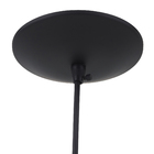 Pendente Oval 1 Lâmpada Metal Preto Star Emalustres