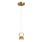 Pendente Bella Bambini Dw009  Led 7w 3.000k Metal Dourado E V