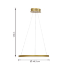 Pendente Redondo com LED Metal Dourado Anel Inspire
