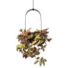 Pendente Decorativo  Square Preto Com Suporte Para Plantas