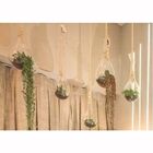 Pendente Decorativo Terrário Suspenso Vidro Gota 50cm Madelus