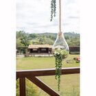 Pendente Decorativo Terrário Suspenso Vidro Gota 50cm Madelus