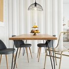 Pendente Em Metal Anagua 1xe27 Taschibra