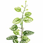 Pendente Folhagem Com Folhas De  Maranta Verde Branca 84cm