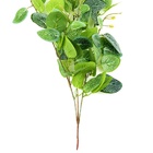 Pendente Folhagem Com Folhas De Fitônia Mosaico 84cm