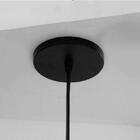 Pendente Mini Jabuti Preto Com Globo De Vidro Fumê Para 1 Lâm