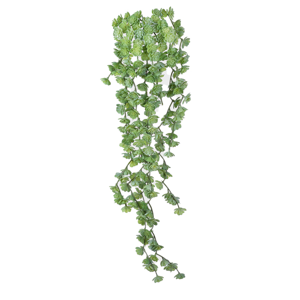 Pendente Suculentas Verde