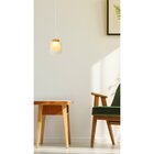 Pendente Transparente 2,5x15x17cm Led 4w Ip20 Dourado