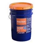 Penetron Balde 25 Kg