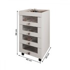 Penteadeira Carrinho De Maquiagem Salão De Beleza 4 Gavetas C