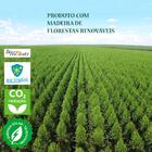 Penteadeira Com Espelho 1 Gaveta Pe2020 Branca - Tecno Mobili