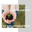 Penteadeira Madeirada Noce E Tubos Pretos Carraro