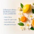 Perfume Para Ambientes Sofisticados Alta Fixação Riviera