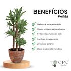 Perlita expandida grossa premium para substrato CPC Garden 5