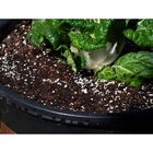 Perlita Expandida Substrato P/ Jardinagem Plantas Pacote 3l