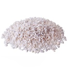 Perlita Expandida Substrato P/ Jardinagem Plantas Pacote 3l