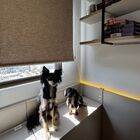 Persiana Rolo Blackout Marrom Napolis - 2,44m X 2,22m