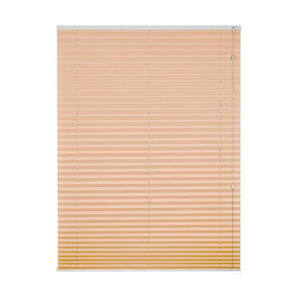 Persiana Rolo Plissada Basic Liso 1,60 X 2,20 Salmão