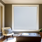 Persiana Rolo Screen Branca 160 (l) X 220 (a) Cortina Solar P